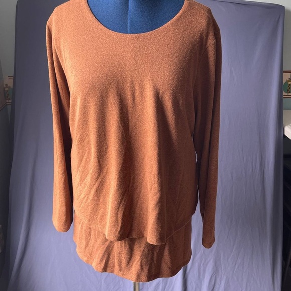 DG2 by Diane Gilman Brushed Sweater Knit 3/4-Sleeve Easy Top Brown Sz 2X Layered - Picture 1 of 11